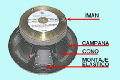 Fig.1 Las diferentes partes de un parlante